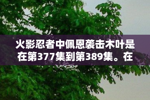 火影忍者中佩恩袭击木叶是在第377集到第389集图片