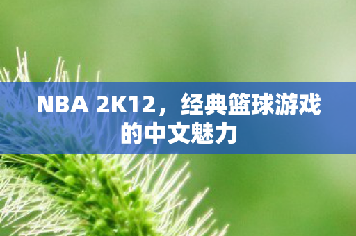 NBA 2K12，经典篮球游戏的中文魅力
