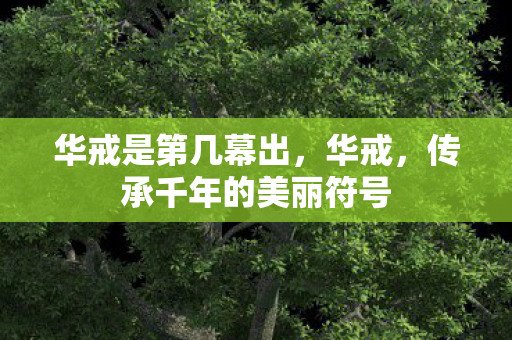 华戒是第几幕出，华戒，传承千年的美丽符号