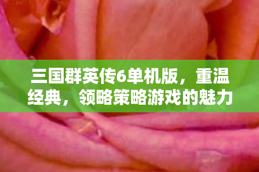 三国群英传6单机版，重温经典，领略策略游戏的魅力