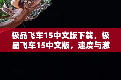 极品飞车15中文版下载，极品飞车15中文版，速度与激情的极致体验