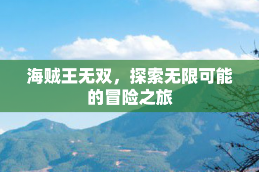 海贼王无双，探索无限可能的冒险之旅