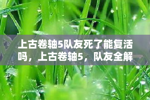 上古卷轴5队友死了能复活吗，上古卷轴5，队友全解析