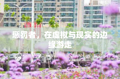 惩罚者，在虚拟与现实的边缘游走