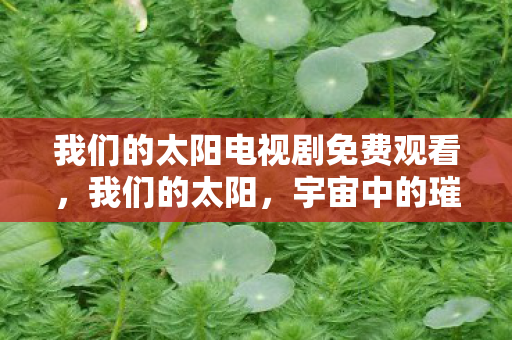 我们的太阳电视剧免费观看，我们的太阳，宇宙中的璀璨明珠