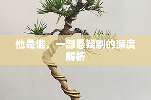 他是谁，一部悬疑剧的深度解析