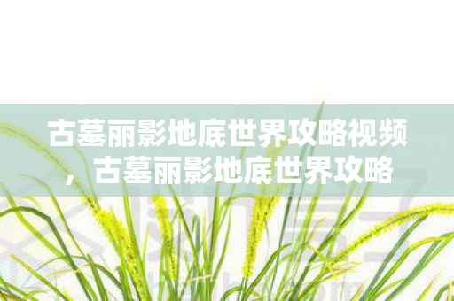 古墓丽影地底世界攻略视频，古墓丽影地底世界攻略