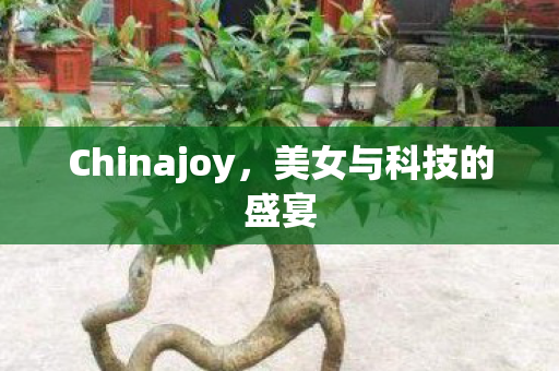 Chinajoy，美女与科技的盛宴