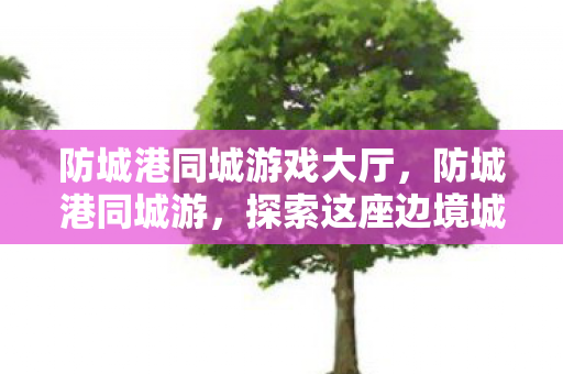 探索这座边境城市的独特魅力图片