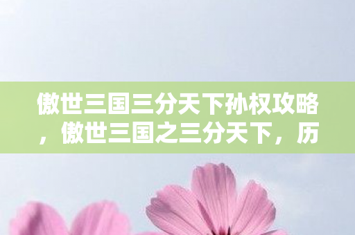 傲世三国三分天下孙权攻略图片