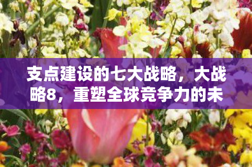支点建设的七大战略，大战略8，重塑全球竞争力的未来蓝图
