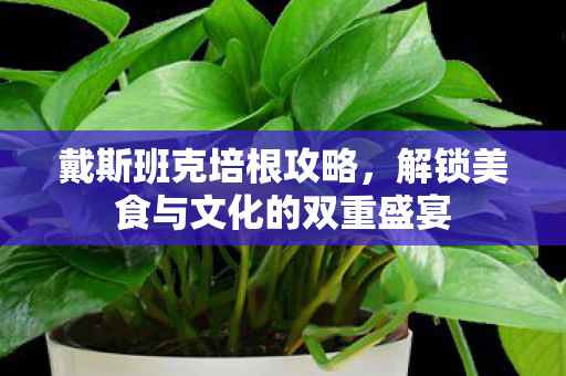 戴斯班克培根攻略，解锁美食与文化的双重盛宴