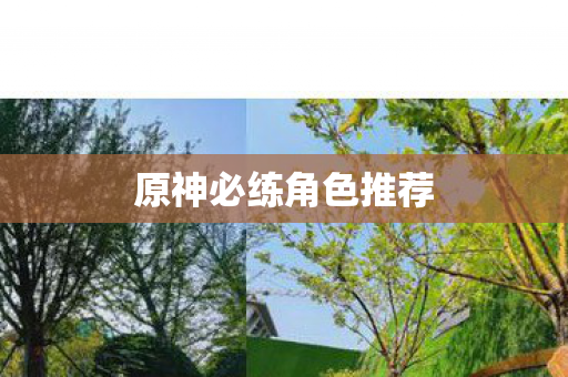 原神必练角色推荐