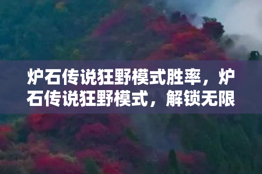 炉石传说狂野模式胜率，炉石传说狂野模式，解锁无限可能的卡牌盛宴
