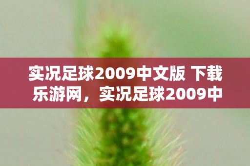 实况足球2009中文版 下载 乐游网，实况足球2009中文版，经典再现，激情燃烧的岁月