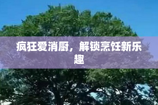 疯狂爱消厨，解锁烹饪新乐趣