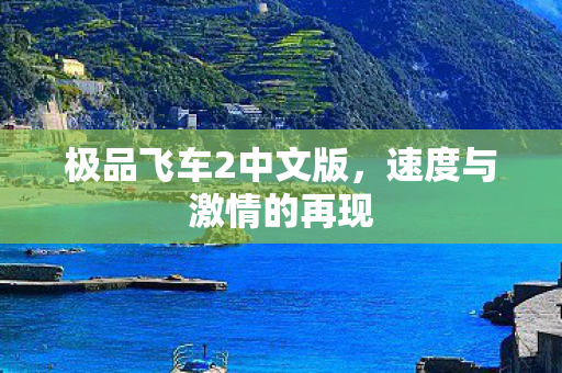 极品飞车2中文版图片