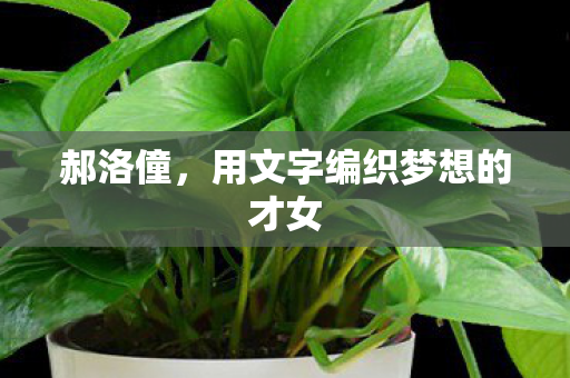 郝洛僮，用文字编织梦想的才女