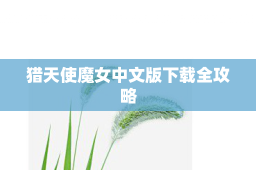 猎天使魔女中文版下载全攻略