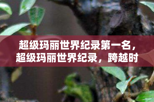 超级玛丽世界纪录第一名，超级玛丽世界纪录，跨越时空的经典游戏挑战