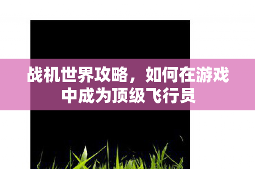 战机世界攻略，如何在游戏中成为顶级飞行员