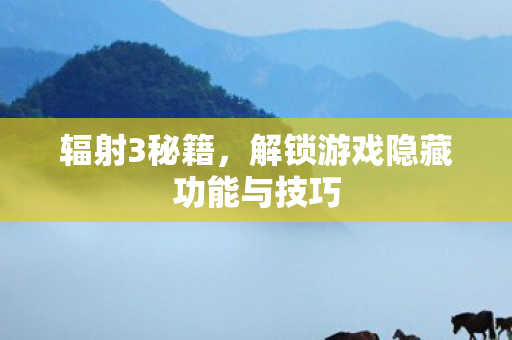 辐射3秘籍，解锁游戏隐藏功能与技巧