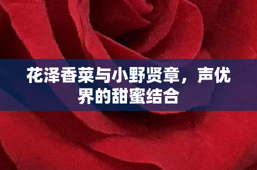 花泽香菜与小野贤章，声优界的甜蜜结合