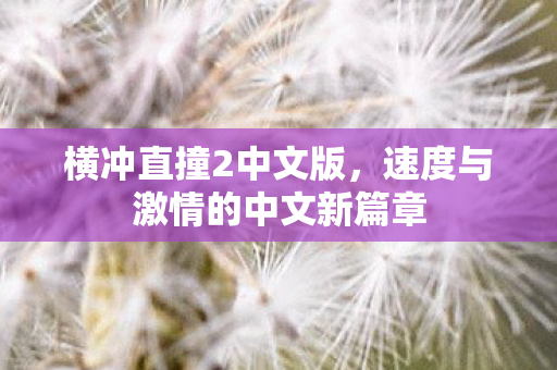 横冲直撞2中文版，速度与激情的中文新篇章