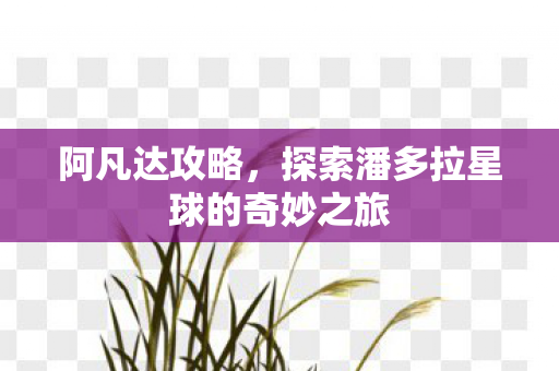 阿凡达攻略，探索潘多拉星球的奇妙之旅