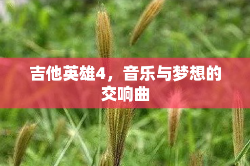 吉他英雄4，音乐与梦想的交响曲