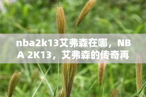 nba2k13艾弗森在哪图片