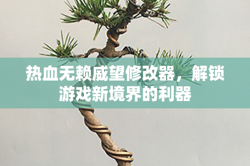热血无赖威望修改器，解锁游戏新境界的利器