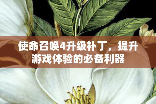 提升游戏体验的必备利器图片
