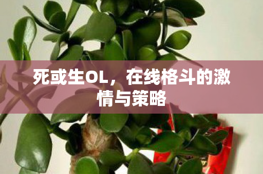 死或生OL，在线格斗的激情与策略