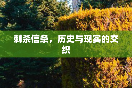 刺杀信条，历史与现实的交织