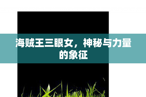 海贼王三眼女，神秘与力量的象征