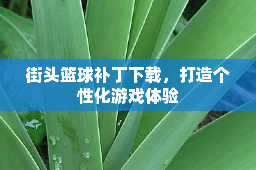 街头篮球补丁下载，打造个性化游戏体验