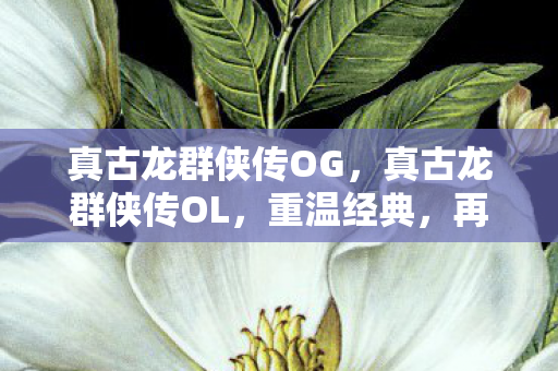 真古龙群侠传OG，真古龙群侠传OL，重温经典，再续江湖情缘