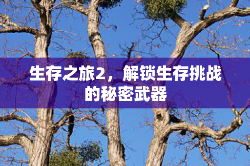 生存之旅2，解锁生存挑战的秘密武器
