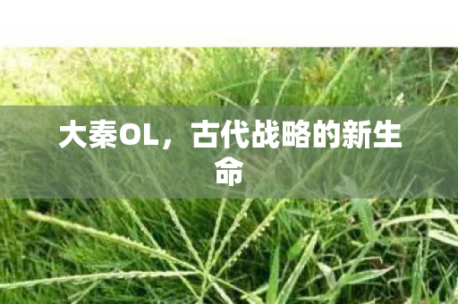 大秦OL，古代战略的新生命