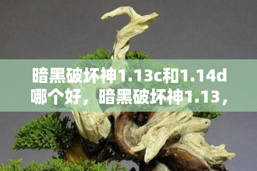 暗黑破坏神1.13c和1.14d哪个好，暗黑破坏神1.13，经典重生的传奇版本