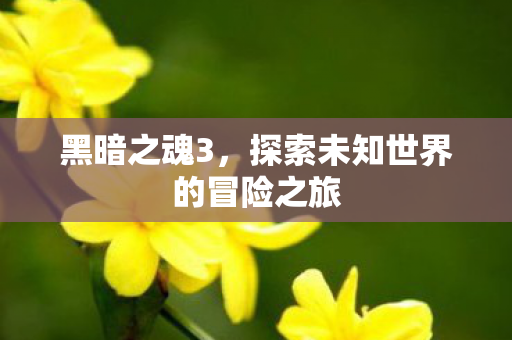 黑暗之魂3，探索未知世界的冒险之旅