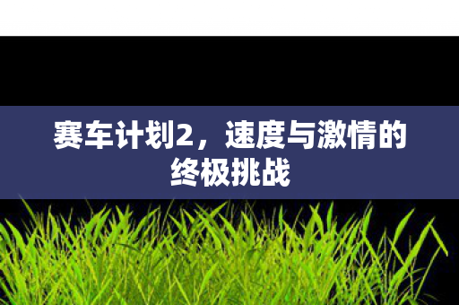 赛车计划2，速度与激情的终极挑战