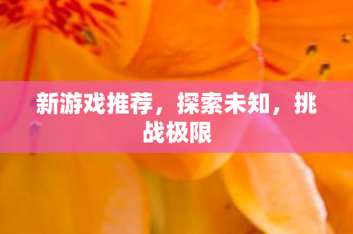新游戏推荐，探索未知，挑战极限