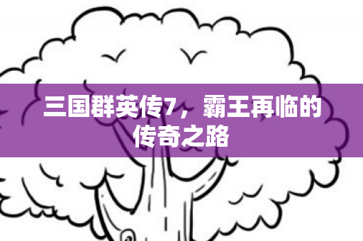 三国群英传7，霸王再临的传奇之路