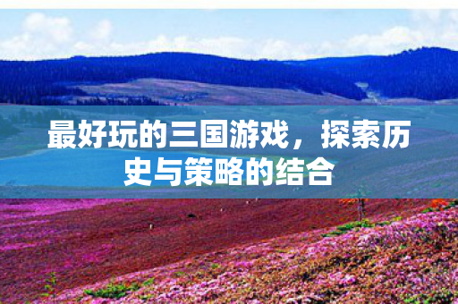 最好玩的三国游戏，探索历史与策略的结合