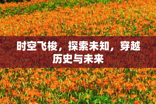 时空飞梭，探索未知，穿越历史与未来