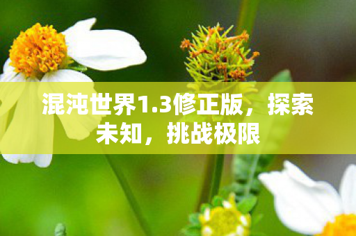 混沌世界1.3修正版，探索未知，挑战极限