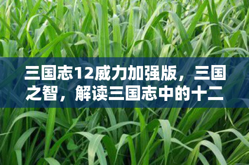 三国志12威力加强版，三国之智，解读三国志中的十二奇策