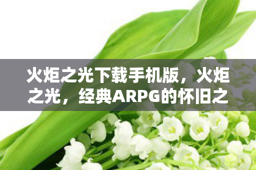 火炬之光下载手机版，火炬之光，经典ARPG的怀旧之旅